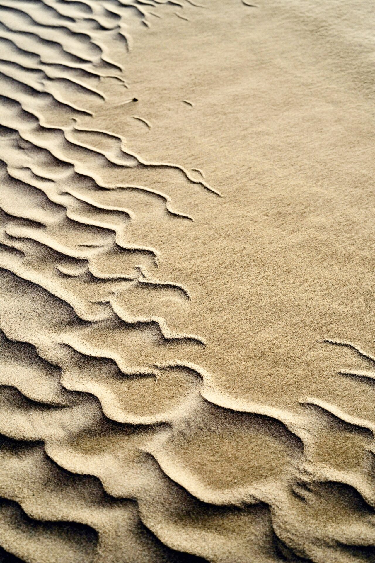 pexels-jeremy-bishop-1260133-20147080